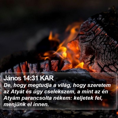 János 14:31 KAR Bible Verse Image