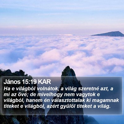 János 15:19 KAR Bible Verse Image