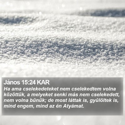János 15:24 KAR Bible Verse Image