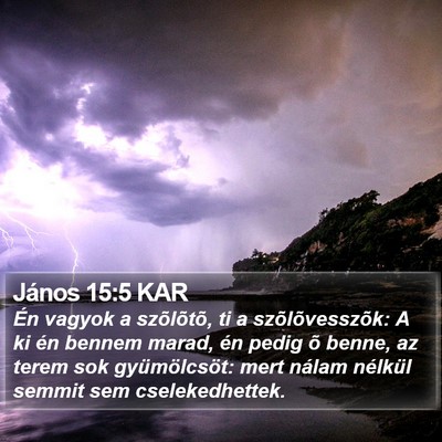 János 15:5 KAR Bible Verse Image