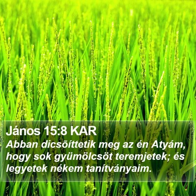 János 15:8 KAR Bible Verse Image