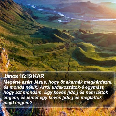 János 16:19 KAR Bible Verse Image