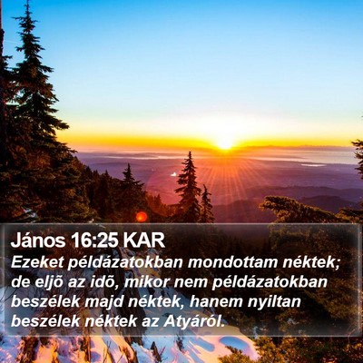 János 16:25 KAR Bible Verse Image