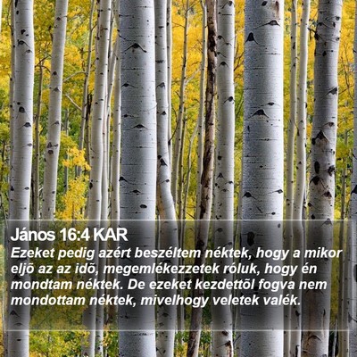 János 16:4 KAR Bible Verse Image