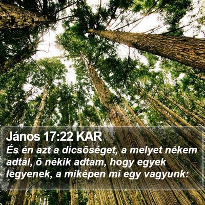 János 17:22 KAR Bible Verse Image