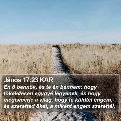 János 17:23 KAR Bible Verse Image