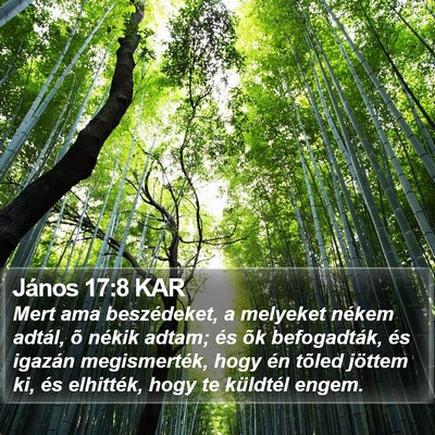 János 17:8 KAR Bible Verse Image