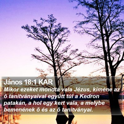 János 18:1 KAR Bible Verse Image