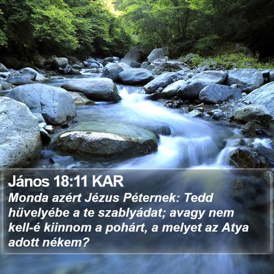 János 18:11 KAR Bible Verse Image
