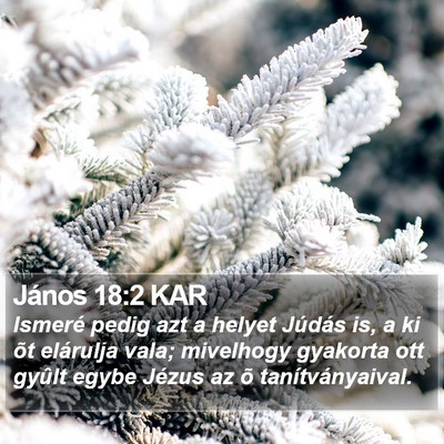 János 18:2 KAR Bible Verse Image