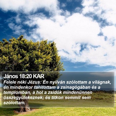 János 18:20 KAR Bible Verse Image