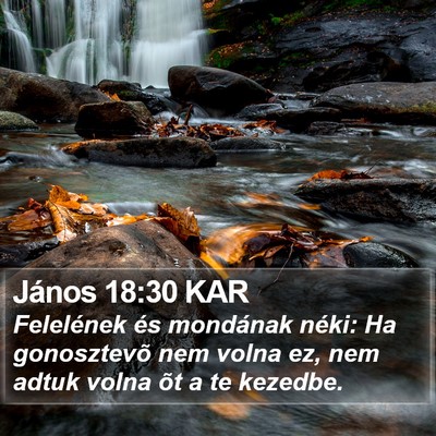 János 18:30 KAR Bible Verse Image