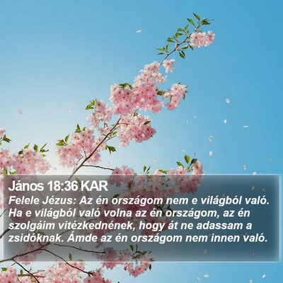 János 18:36 KAR Bible Verse Image