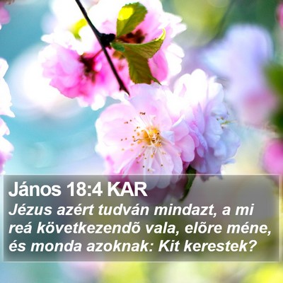 János 18:4 KAR Bible Verse Image