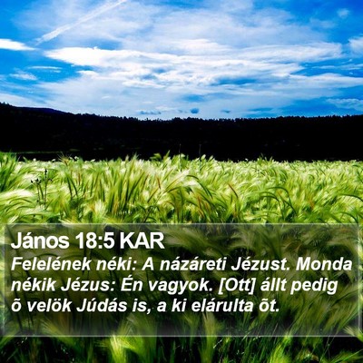 János 18:5 KAR Bible Verse Image