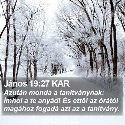 János 19:27 KAR Bible Verse Image