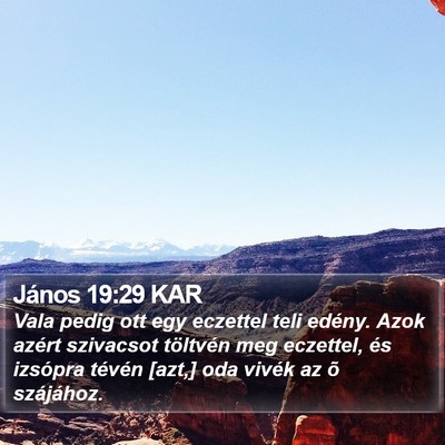 János 19:29 KAR Bible Verse Image