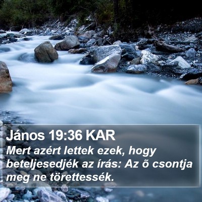 János 19:36 KAR Bible Verse Image