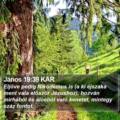 János 19:39 KAR Bible Verse Image