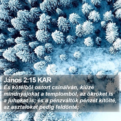 János 2:15 KAR Bible Verse Image