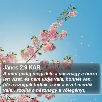 János 2:9 KAR Bible Verse Image