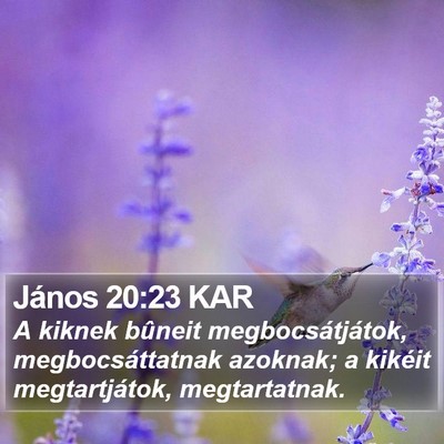 János 20:23 KAR Bible Verse Image