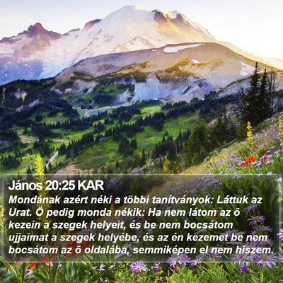 János 20:25 KAR Bible Verse Image