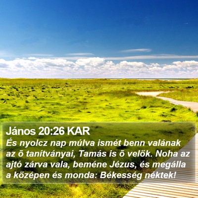 János 20:26 KAR Bible Verse Image