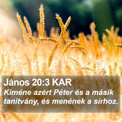 János 20:3 KAR Bible Verse Image