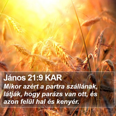 János 21:9 KAR Bible Verse Image