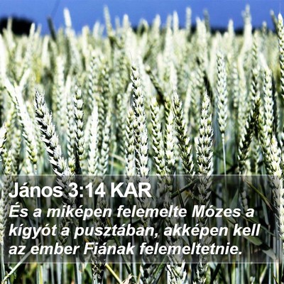 János 3:14 KAR Bible Verse Image