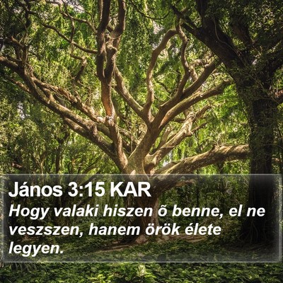 János 3:15 KAR Bible Verse Image
