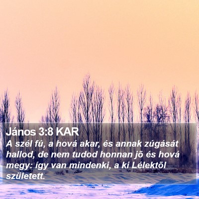 János 3:8 KAR Bible Verse Image