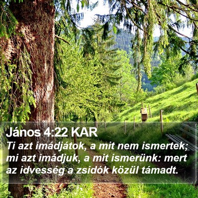 János 4:22 KAR Bible Verse Image