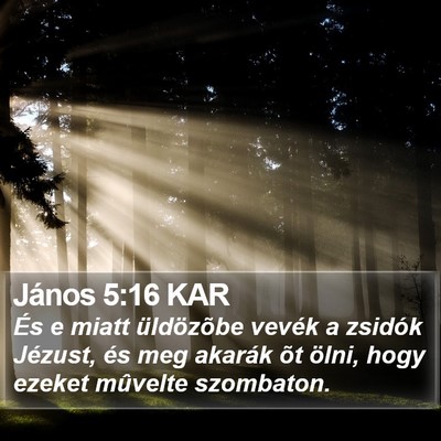 János 5:16 KAR Bible Verse Image