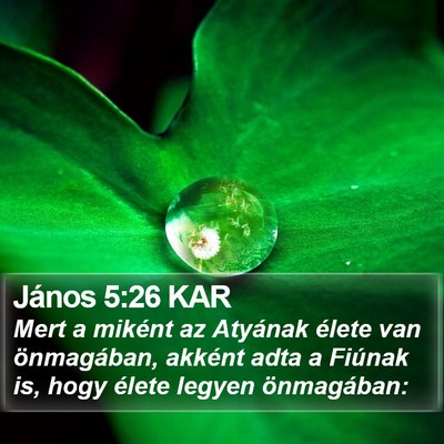 János 5:26 KAR Bible Verse Image