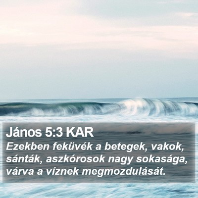 János 5:3 KAR Bible Verse Image