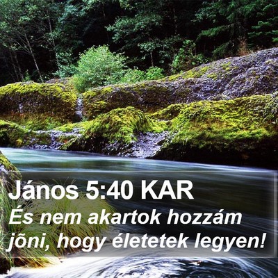 János 5:40 KAR Bible Verse Image