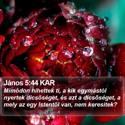 János 5:44 KAR Bible Verse Image