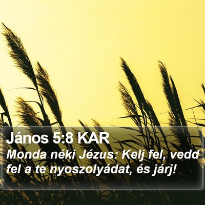 János 5:8 KAR Bible Verse Image