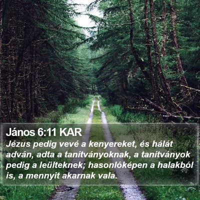 János 6:11 KAR Bible Verse Image