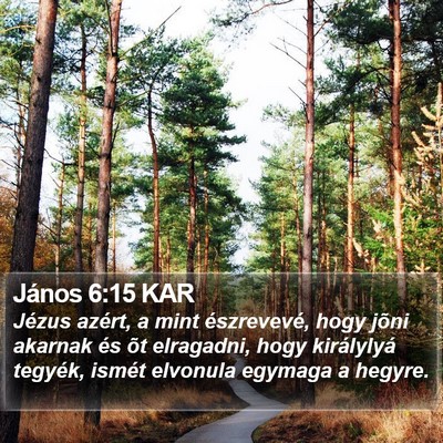 János 6:15 KAR Bible Verse Image