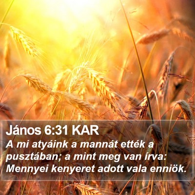 János 6:31 KAR Bible Verse Image