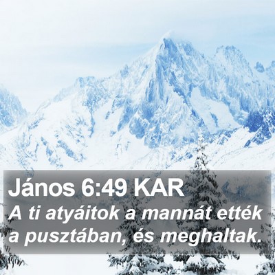 János 6:49 KAR Bible Verse Image