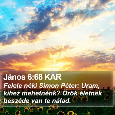 János 6:68 KAR Bible Verse Image