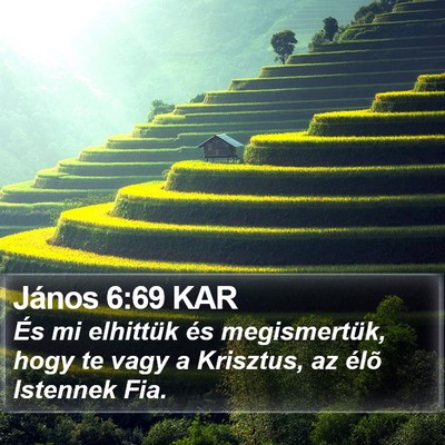 János 6:69 KAR Bible Verse Image
