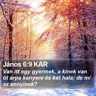 János 6:9 KAR Bible Verse Image