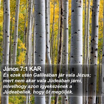 János 7:1 KAR Bible Verse Image