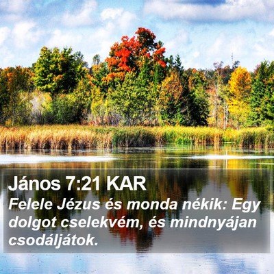 János 7:21 KAR Bible Verse Image