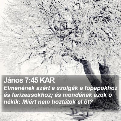 János 7:45 KAR Bible Verse Image